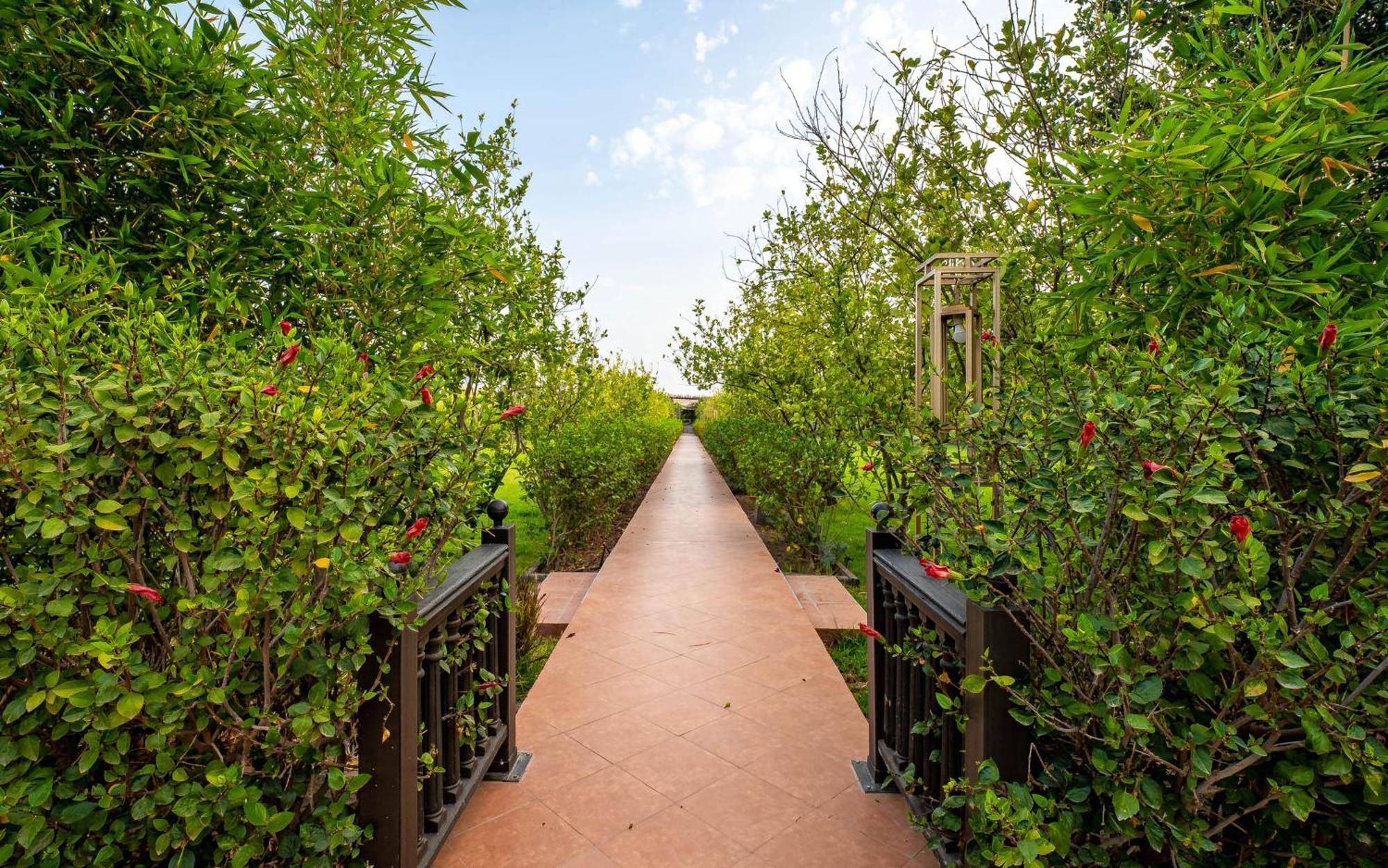 The Lemonary Marrakech Hotell Ouled Moumen Eksteriør bilde