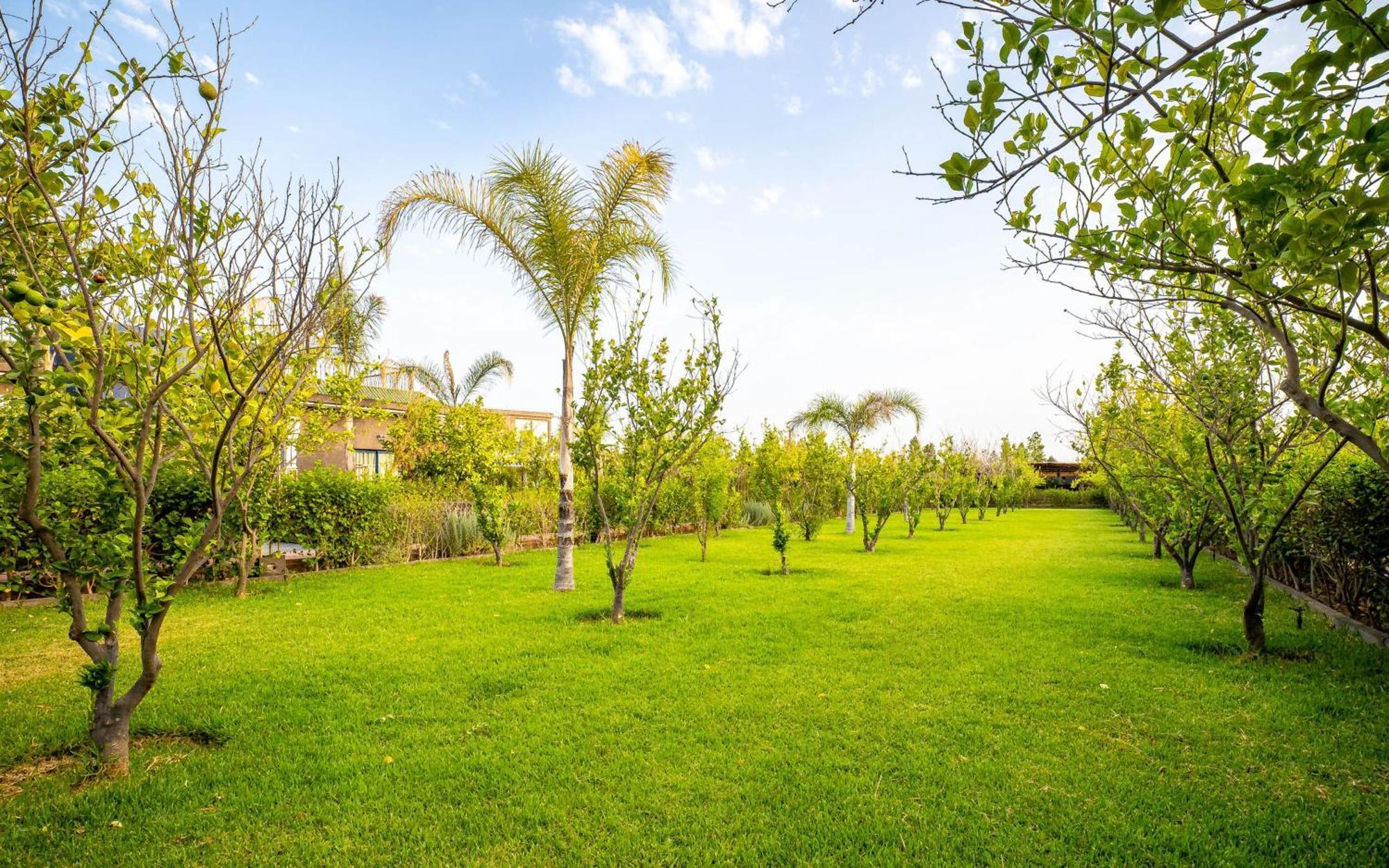 The Lemonary Marrakech Hotell Ouled Moumen Eksteriør bilde