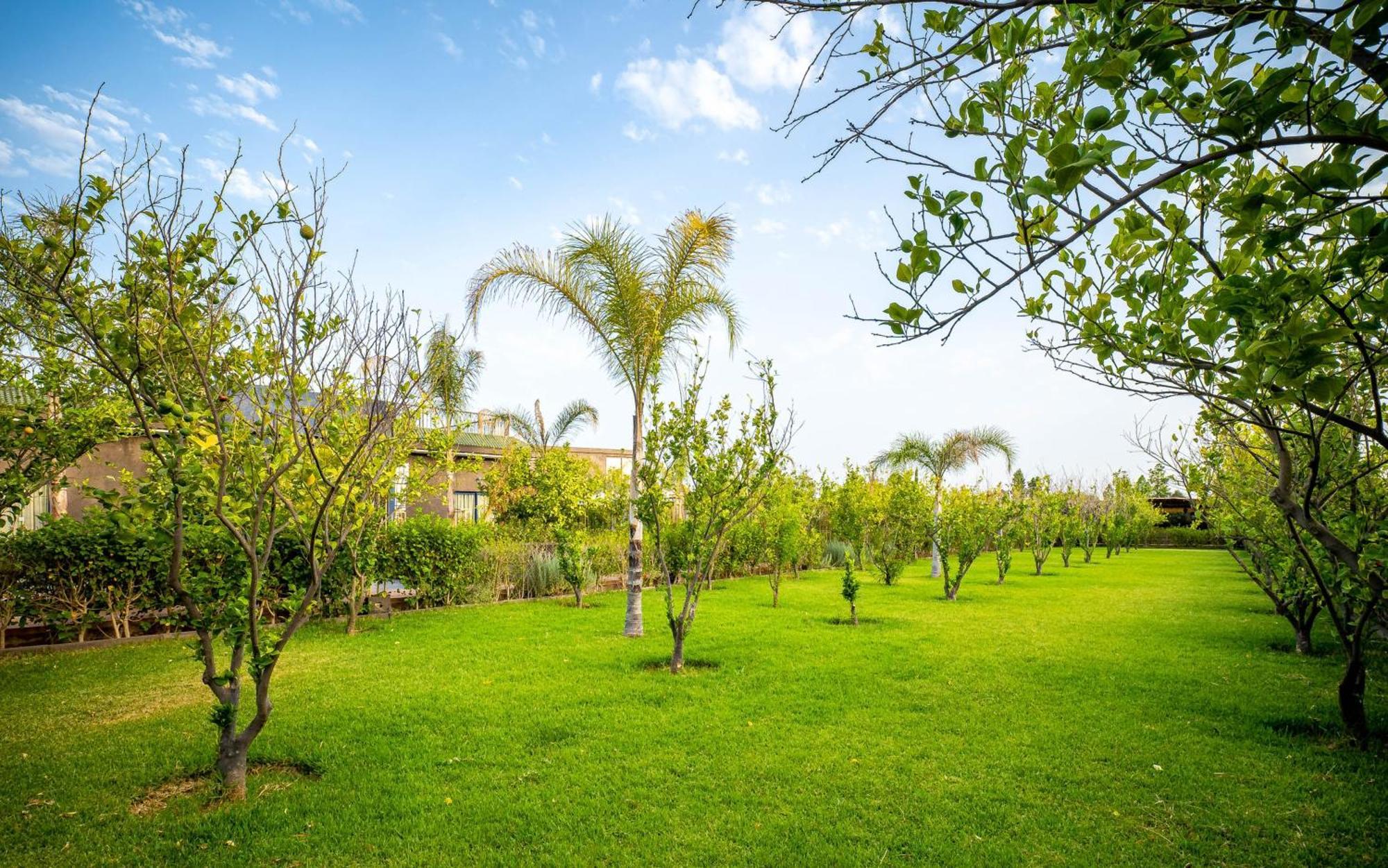 The Lemonary Marrakech Hotell Ouled Moumen Eksteriør bilde