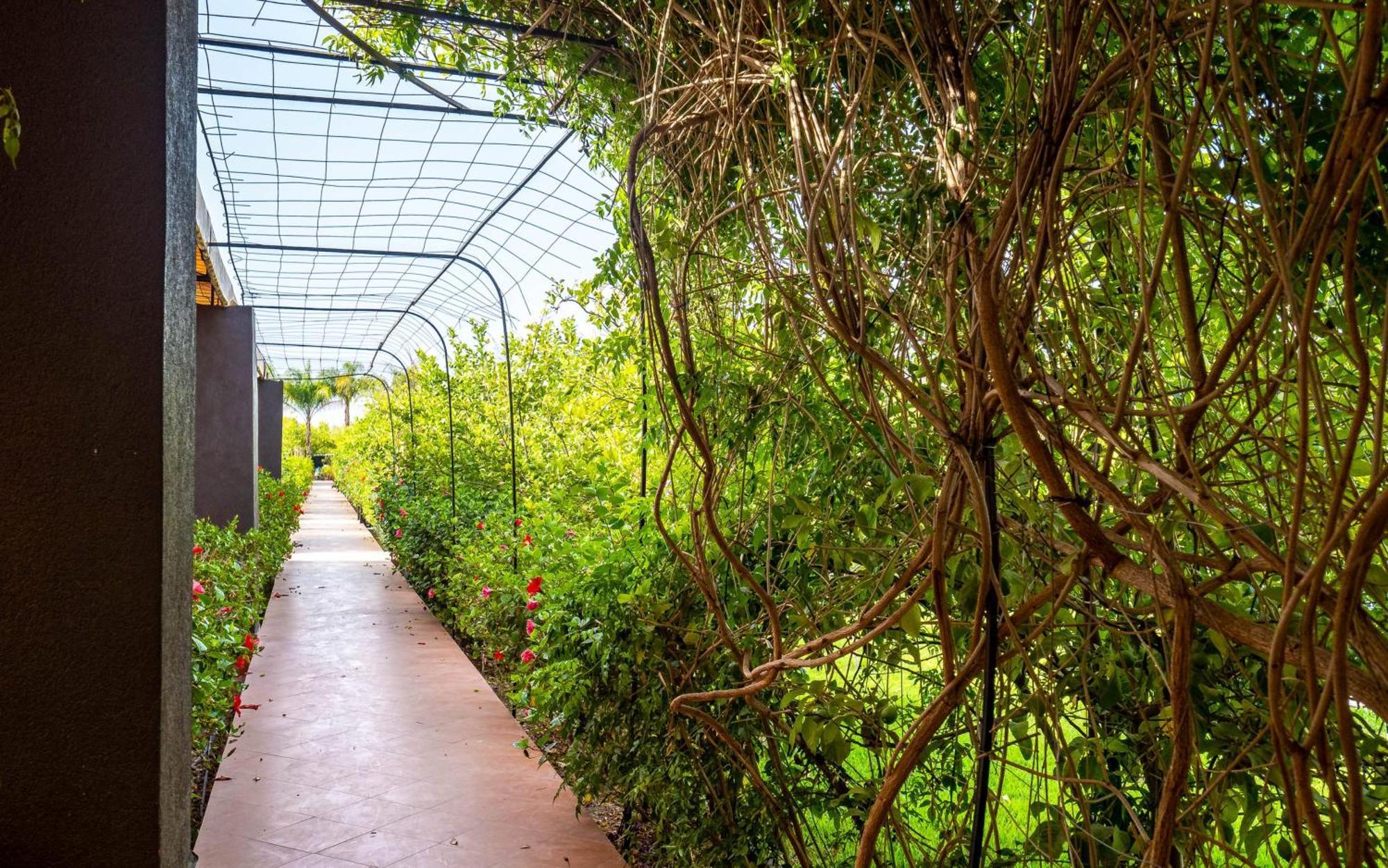 The Lemonary Marrakech Hotell Ouled Moumen Eksteriør bilde
